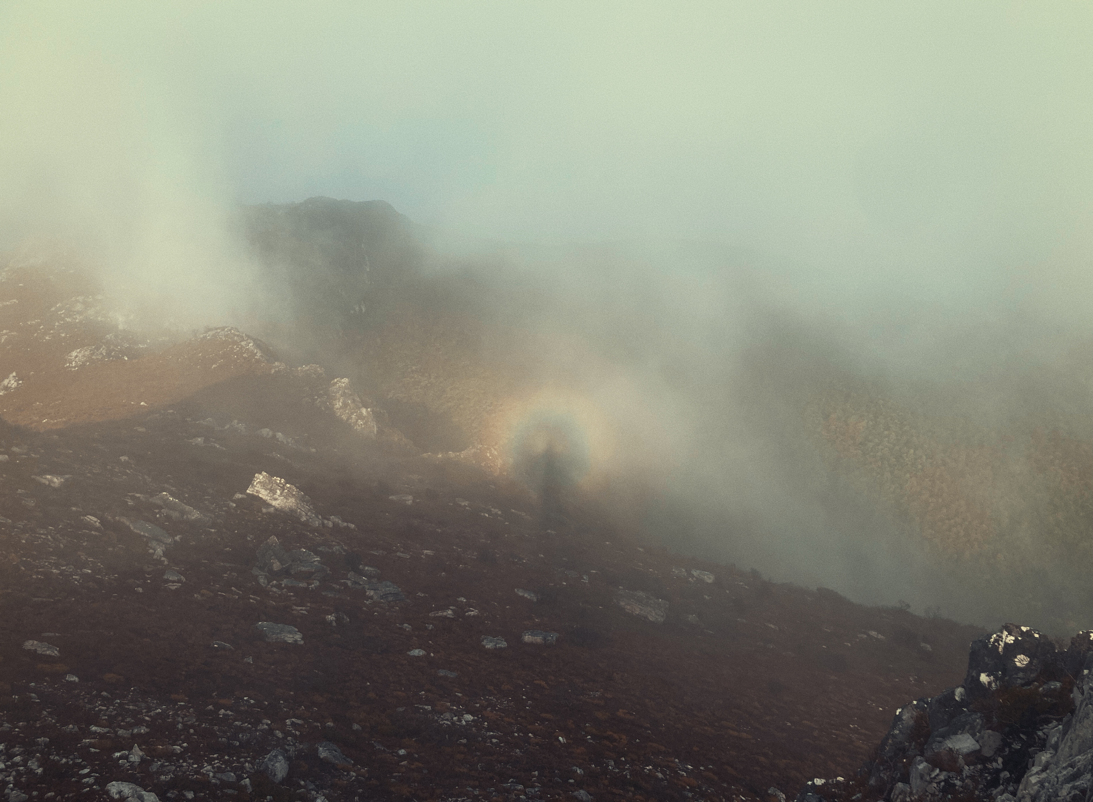 A biblical moment featuring a circular rainbow with the silhouette of a man.